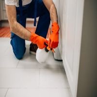 Same Day Pest Control Reservoir